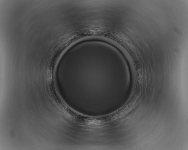 X0000112010471200908311138
