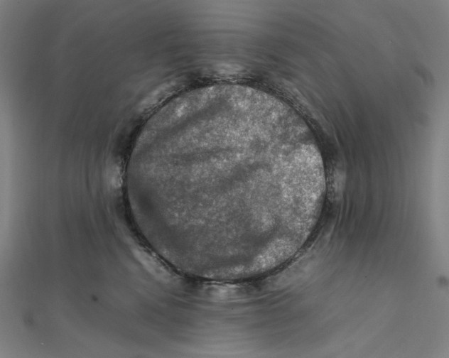 X0000112010472200908311138