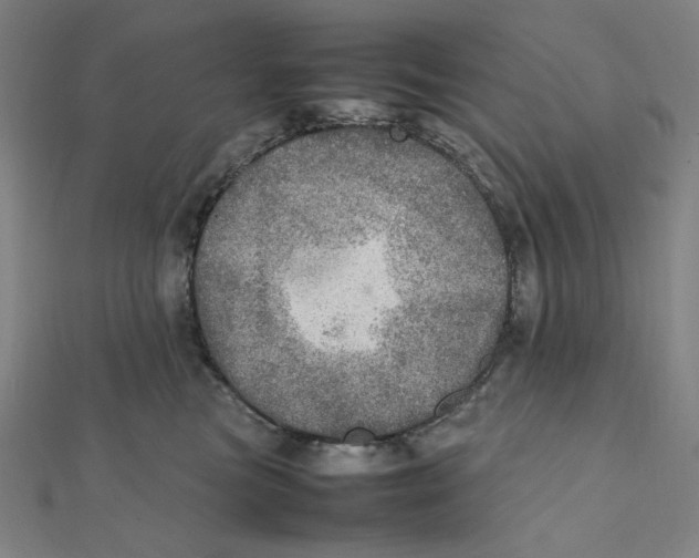 X0000112010473200908311138