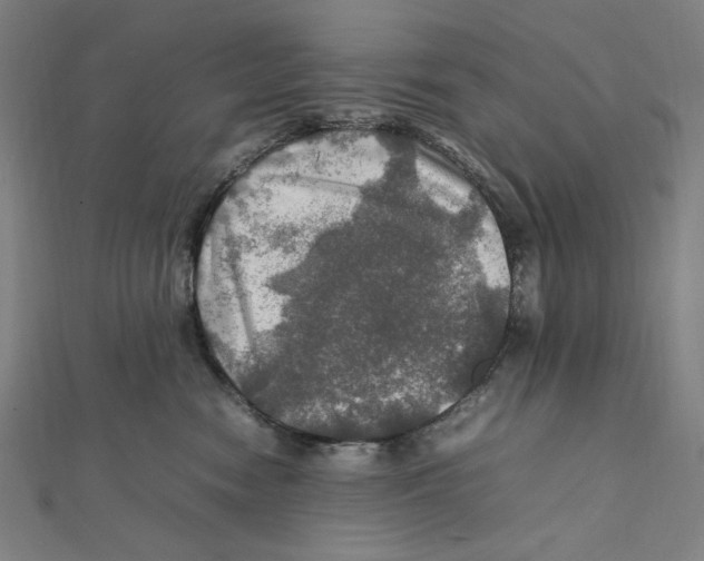 X0000112010474200908311138
