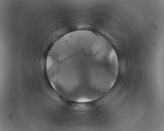 X0000112010475200908311138