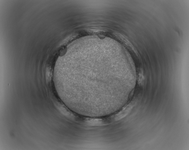 X0000112010476200908311138