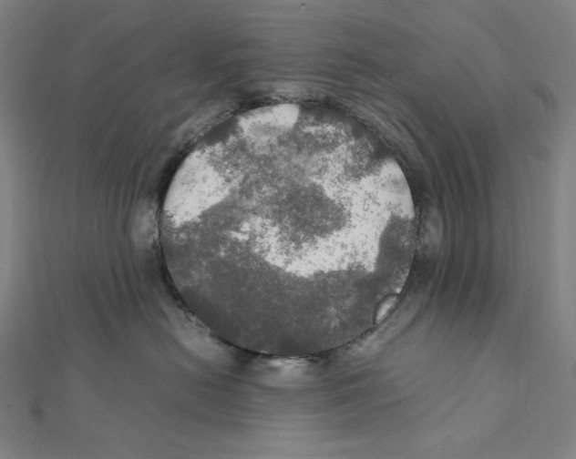 X0000112010478200908311138