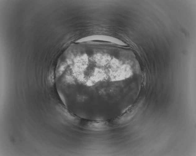 X0000112010479200908311138
