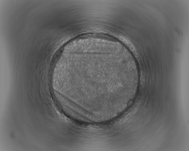 X0000112010481200908311137