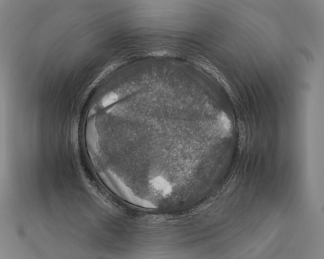 X0000112010482200908311137