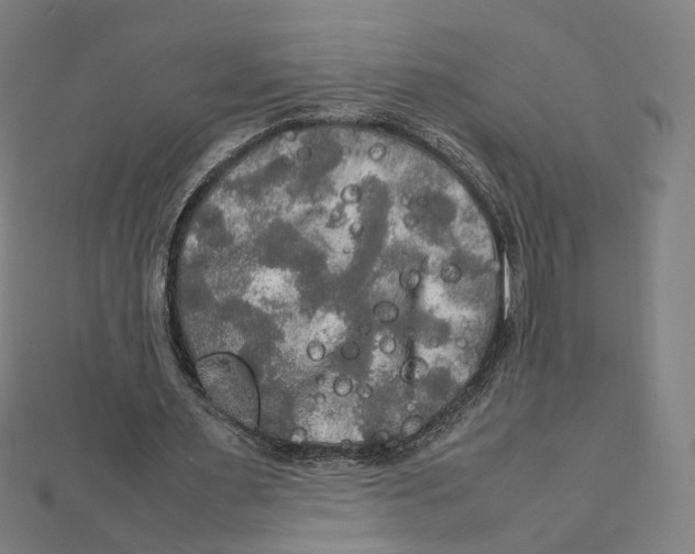 X0000112010483200908311137