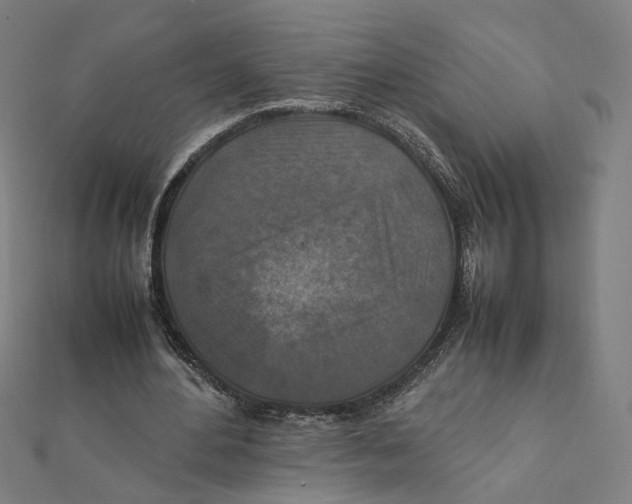 X0000112010484200908311137