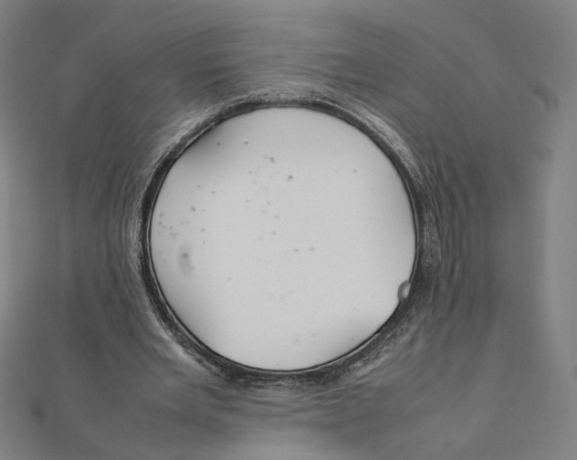 X0000112010485200908311137
