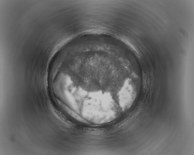 X0000112010486200908311137