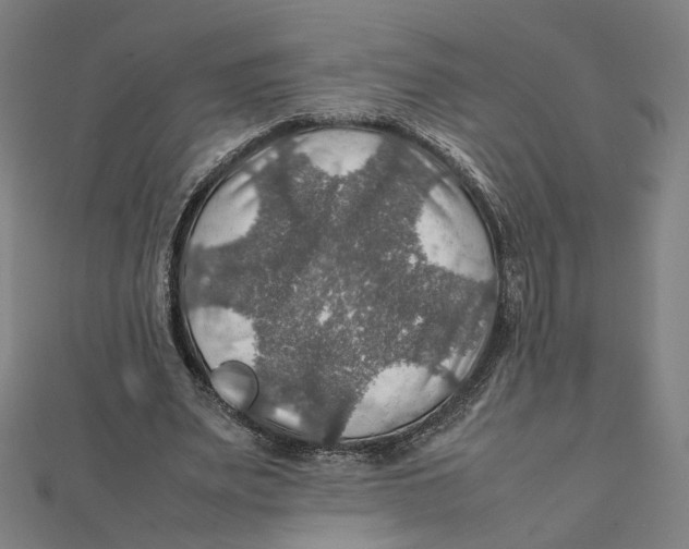 X0000112010487200908311137