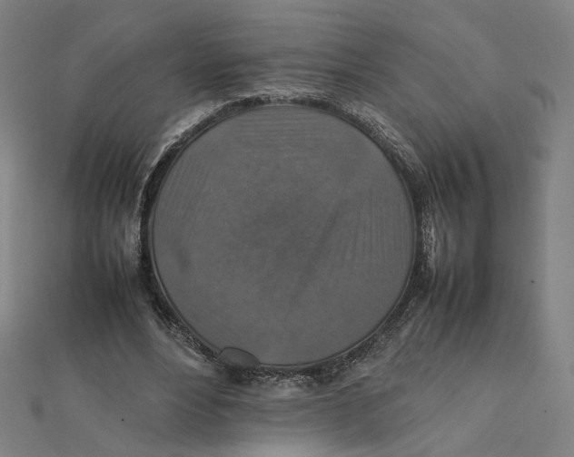 X0000112010488200908311137