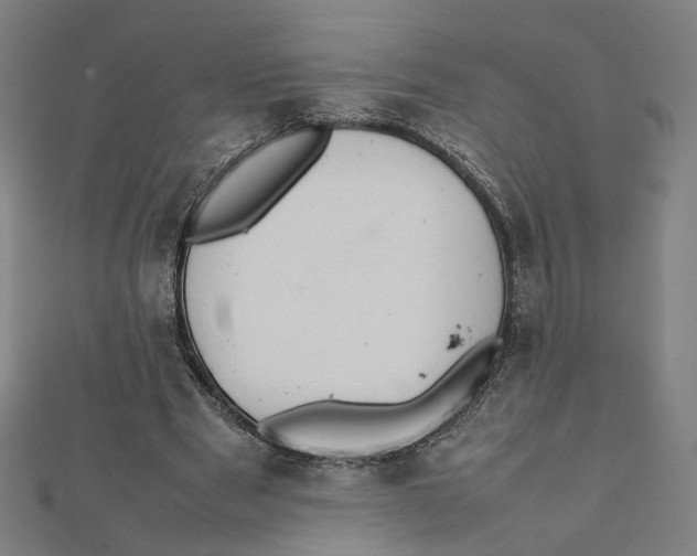 X0000112010489200908311137