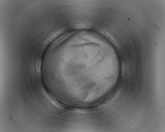 X0000112010490200908311137