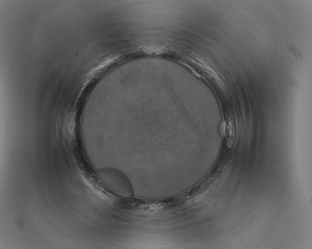 X0000112010492200908311137