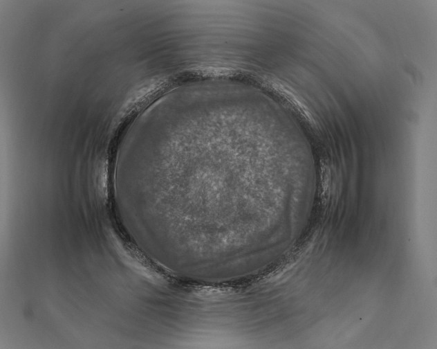 X0000112010494200908311137