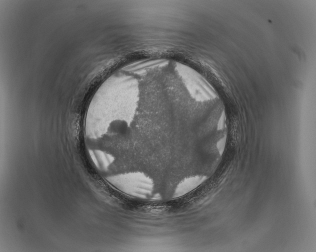 X0000112010495200908311137