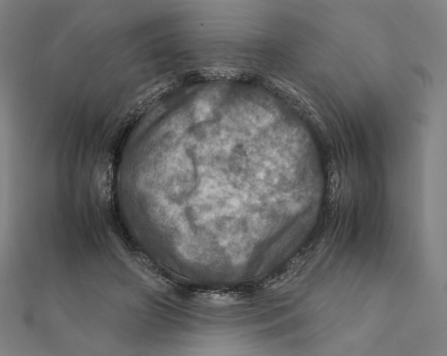 X0000112010498200908311137