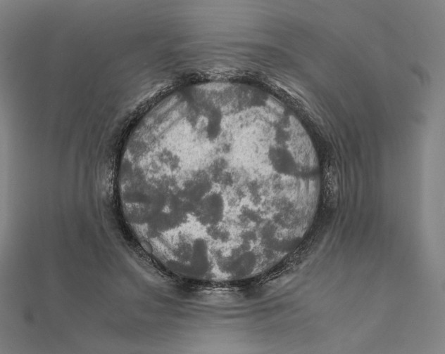 X0000112010499200908311137