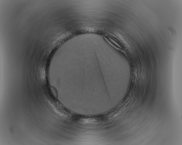 X0000112010500200908311137
