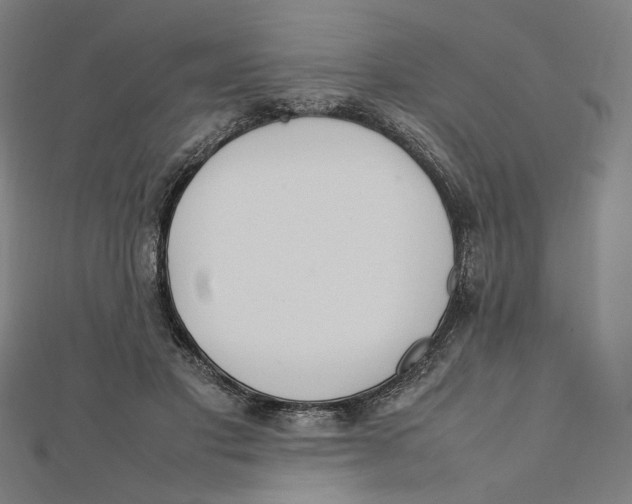 X0000112010501200908311137