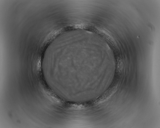 X0000112010502200908311137