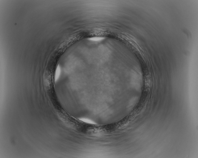 X0000112010503200908311137