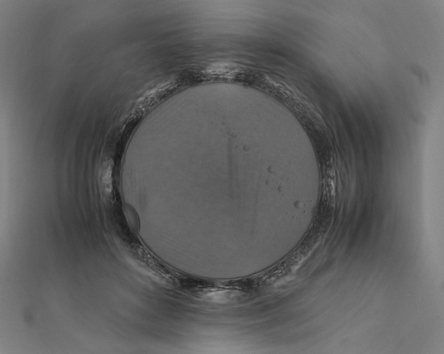 X0000112010504200908311137