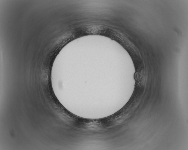 X0000112010505200908311137