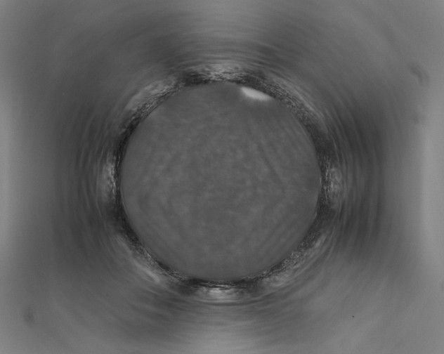 X0000112010506200908311137