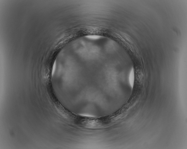 X0000112010507200908311137