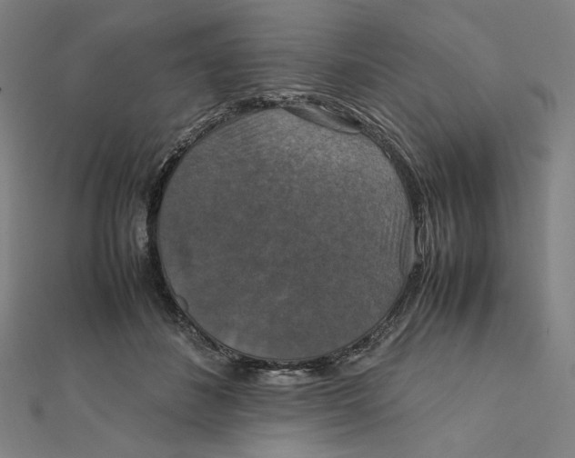 X0000112010508200908311137