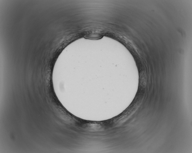 X0000112010509200908311137