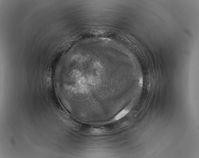 X0000112010510200908311137