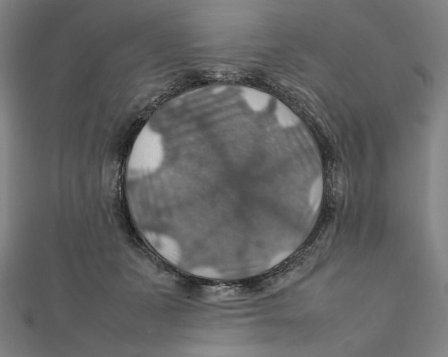 X0000112010511200908311137