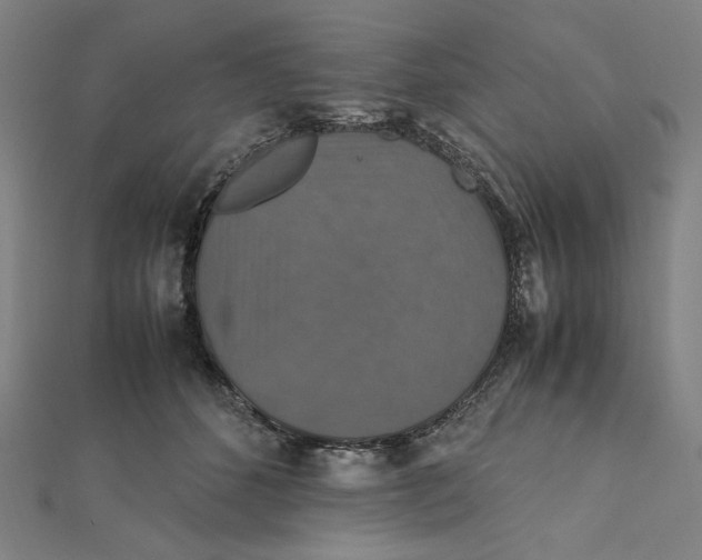 X0000112010512200908311137