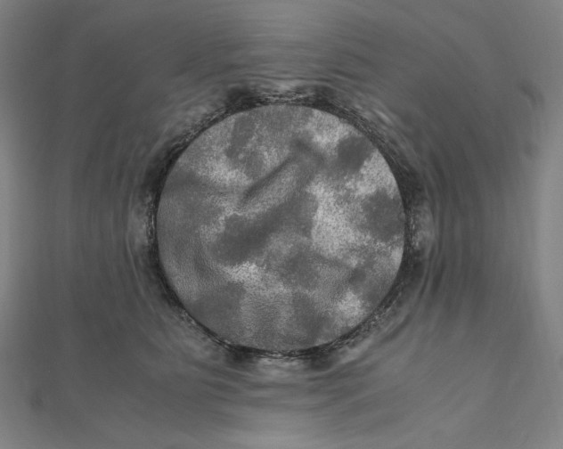 X0000112010515200908311137