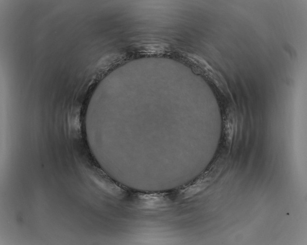 X0000112010516200908311137
