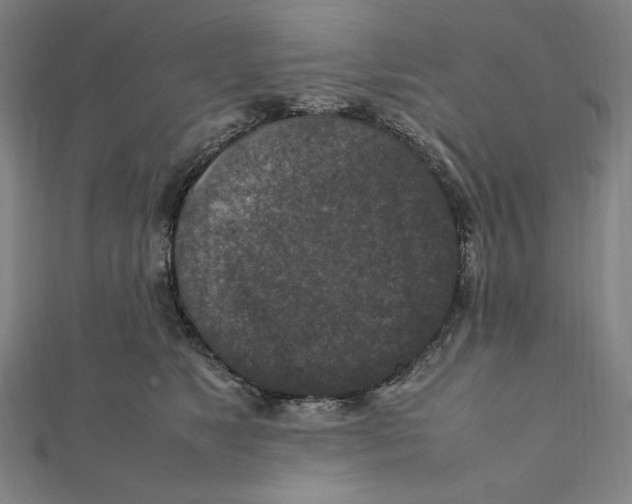 X0000112010517200908311137