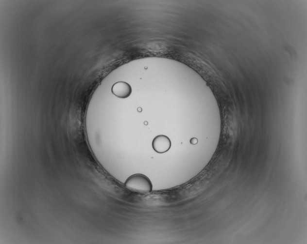 X0000112010518200908311137