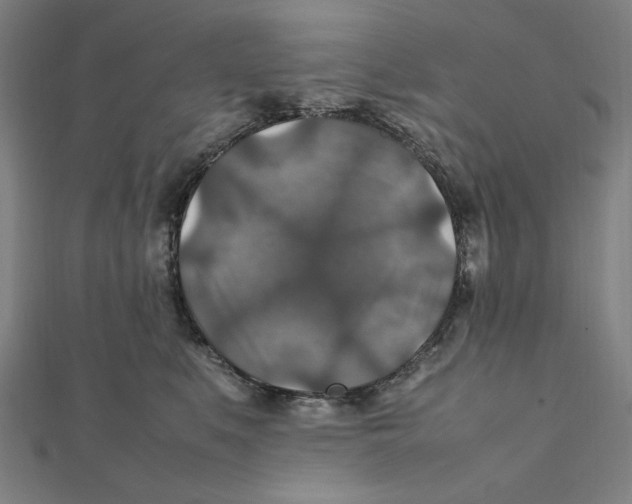 X0000112010519200908311137