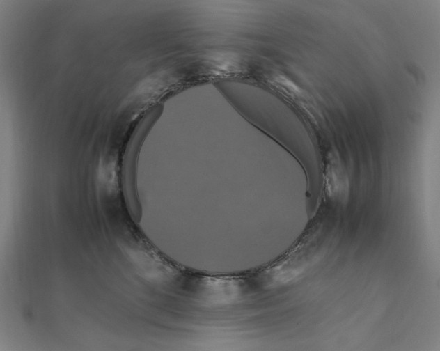 X0000112010520200908311137