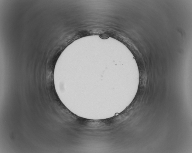 X0000112010521200908311137