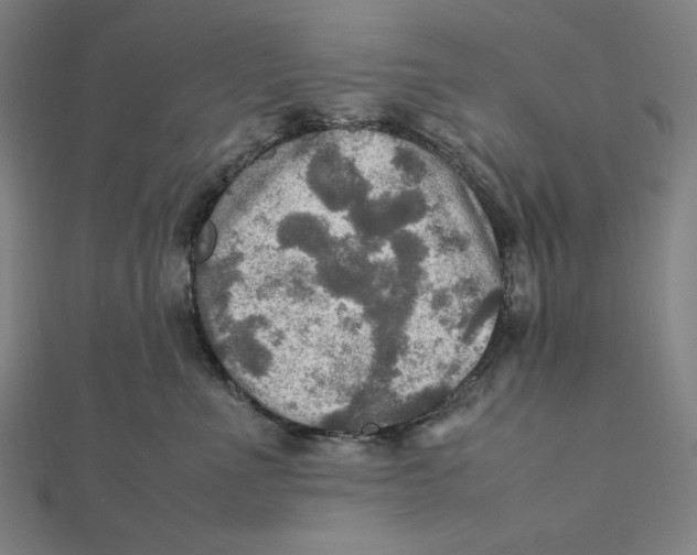 X0000112010523200908311137