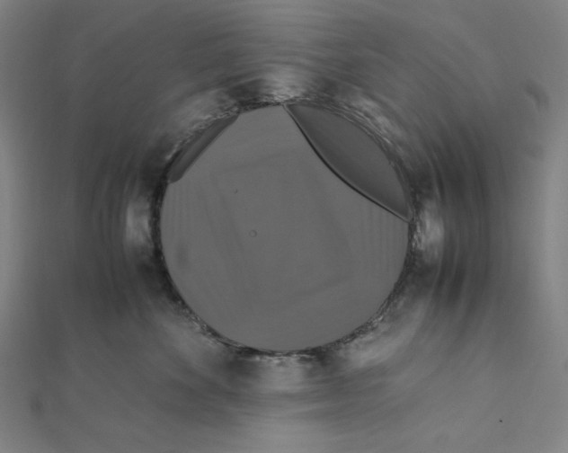 X0000112010524200908311137
