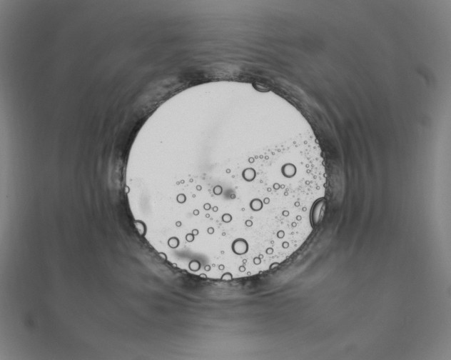 X0000112010525200908311137