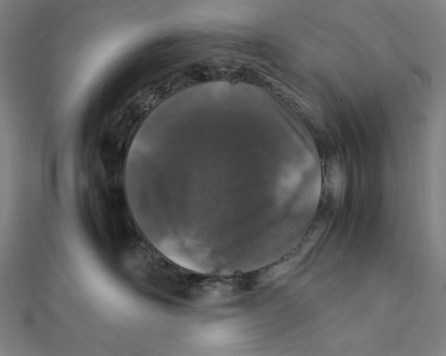 X0000112010526200908311137