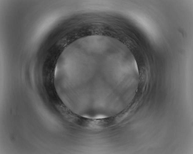 X0000112010527200908311137