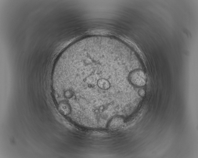 X0000112010529200908311136