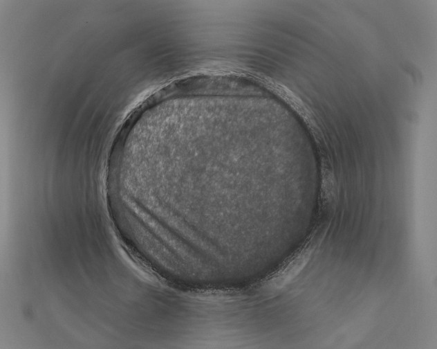 X0000112010530200908311136